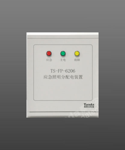 泰和安TS-FP-6206应急照明分配电装置